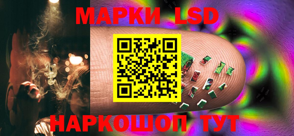 Новоалександровск  ЛСД экстази кислота  Вход с VPN  LSD-25 экстази  LSD-25 экстази кислота 