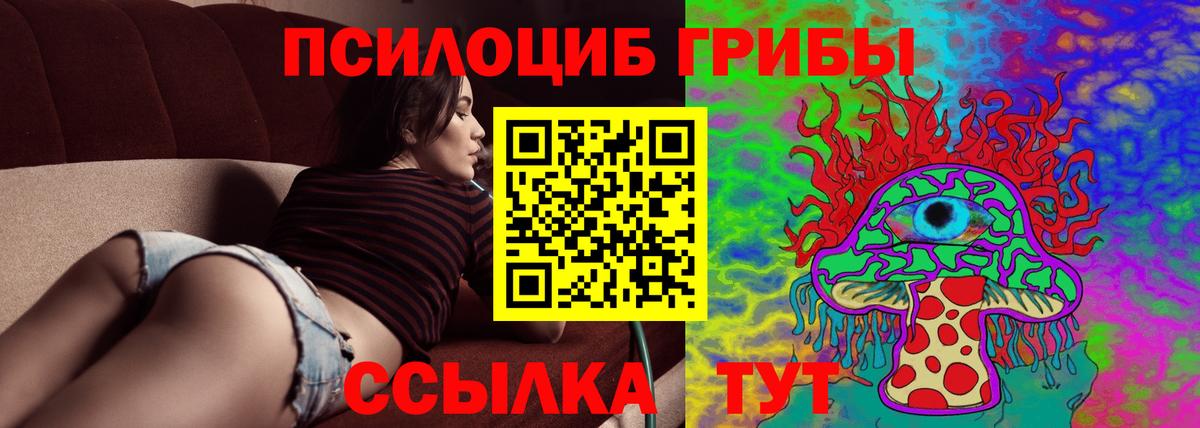 Новоалександровск  Псилоцибиновые грибы ЛСД  купить наркоту  Вход с VPN 